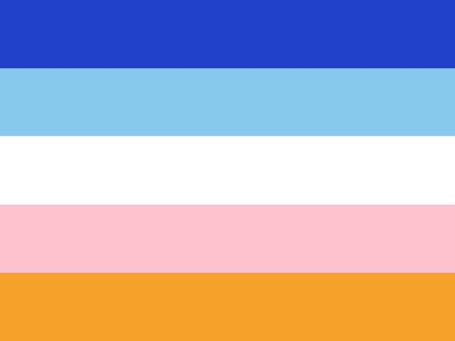 agender flag five stripes by michi