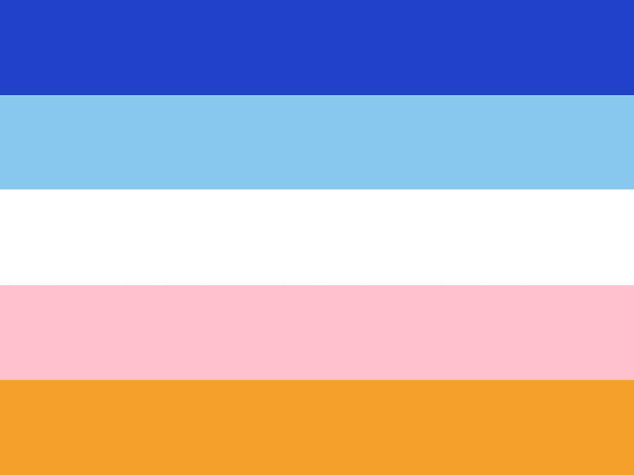 Agender Flag Designs