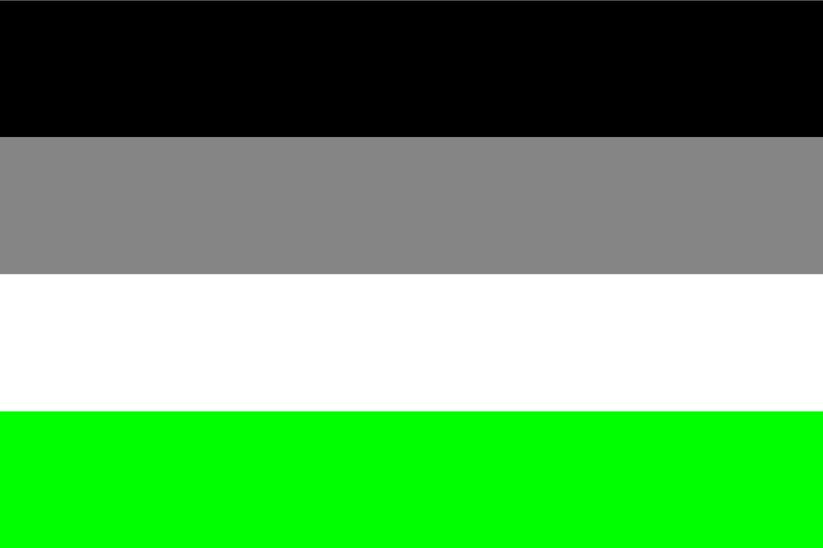 agender flag five stripes